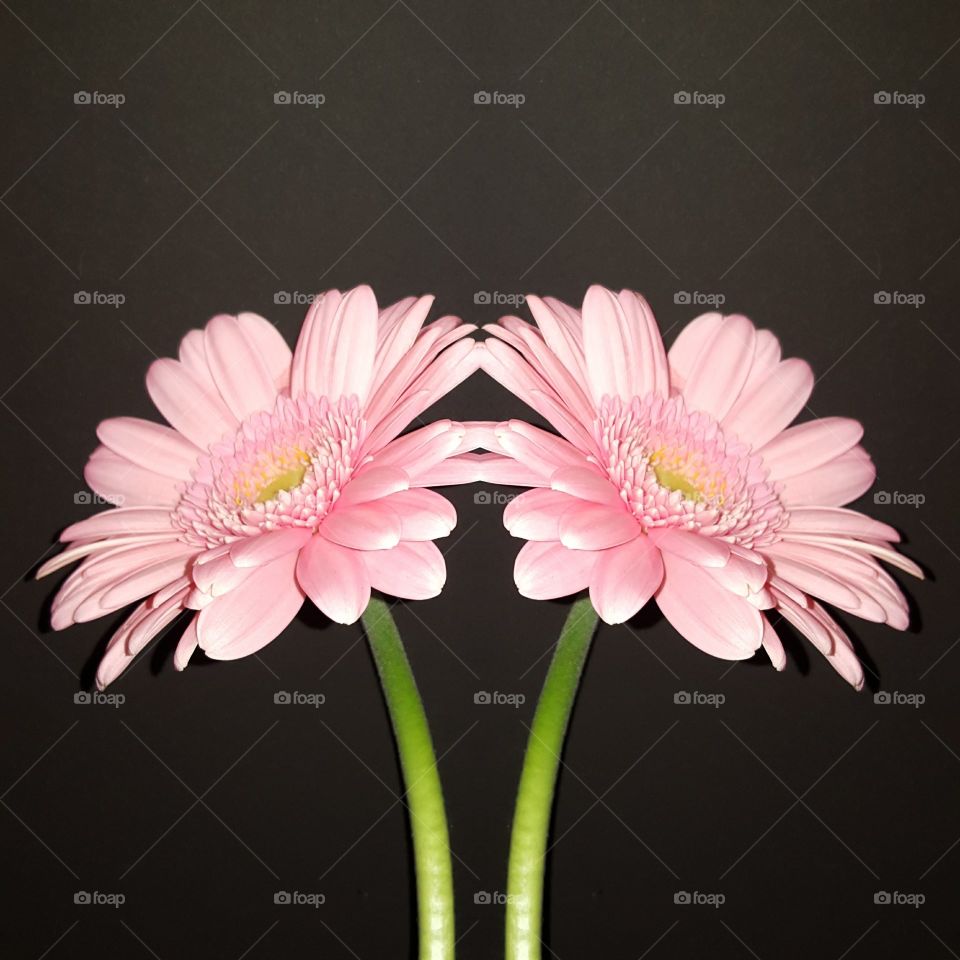 flower art