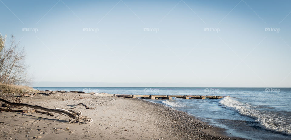 Drift wood at beach