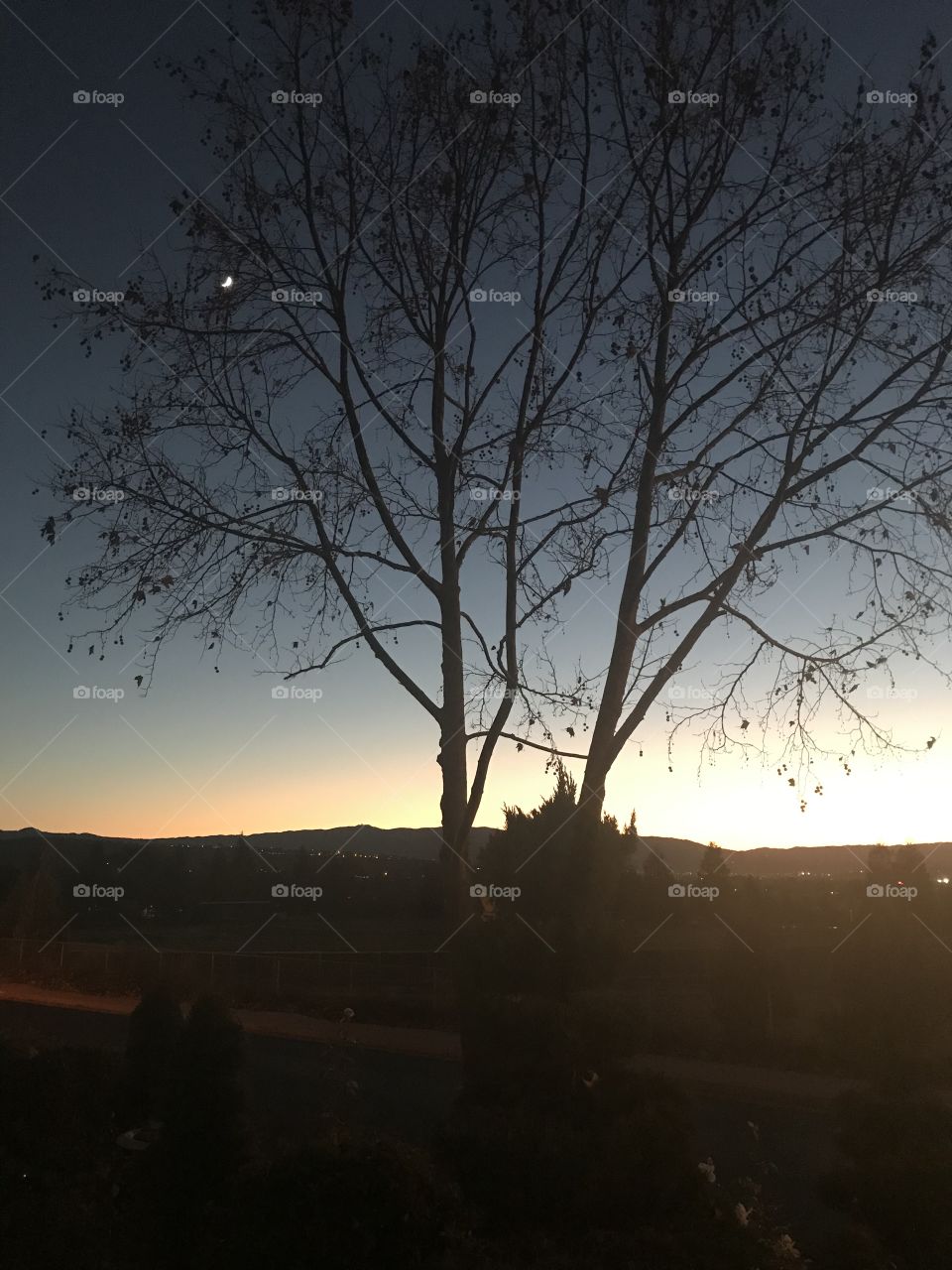 Evening sky with bright planets 