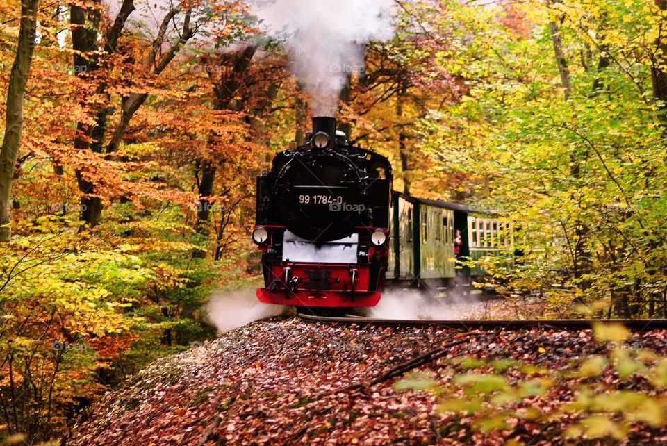 Locomotive autumn