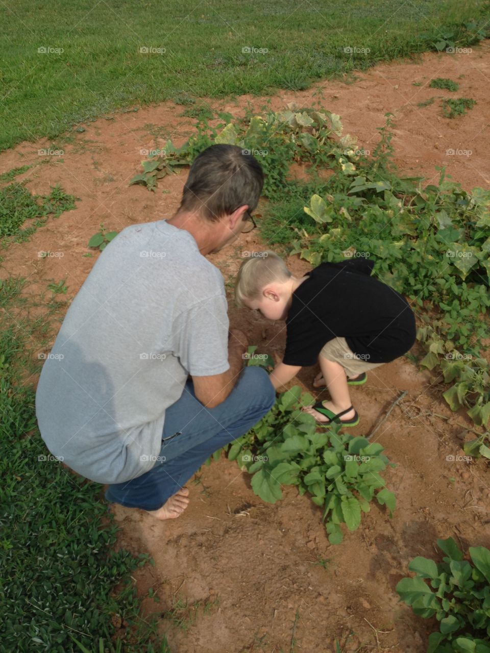 Little gardeners 