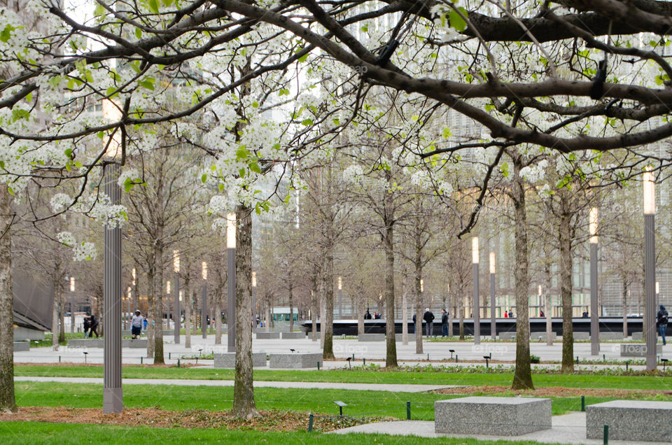 New york city memorial park