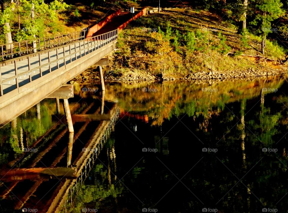 Rustic Bridge Reflection - Reflejo de un puente rústico