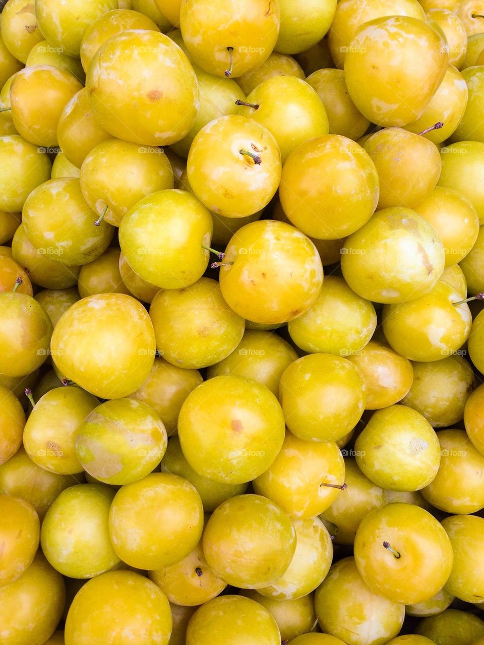 Close-up of plums