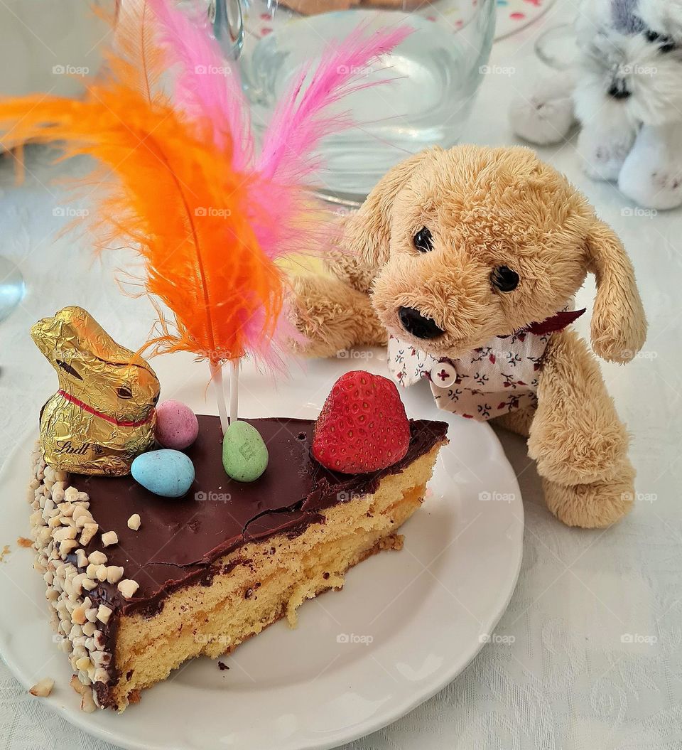 plushie dog eating cake