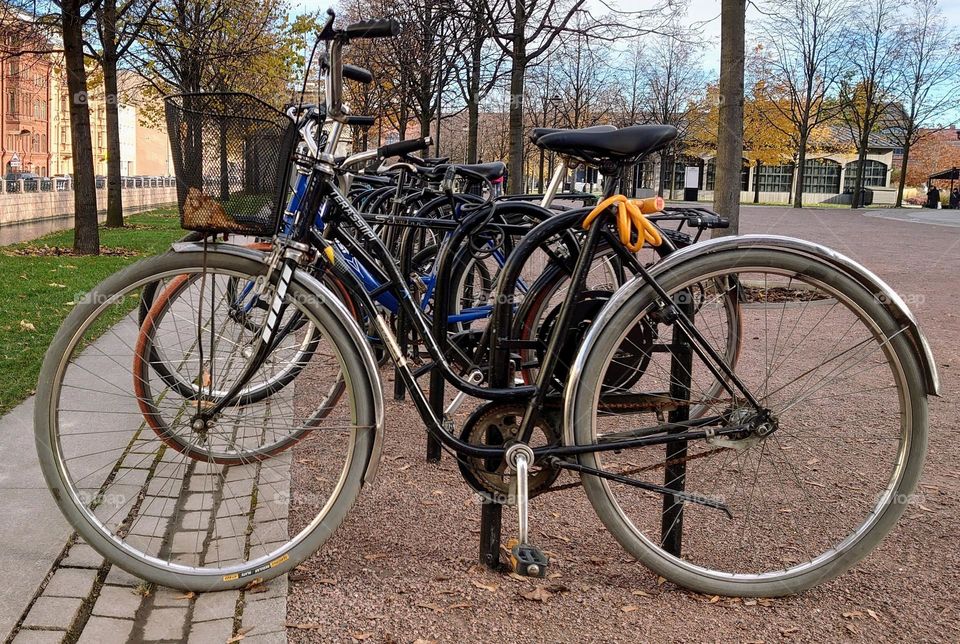 Bicycles 🍁🚲🍂  Autumn time 🍁🚲🍂 The Park🍁🚲🍂