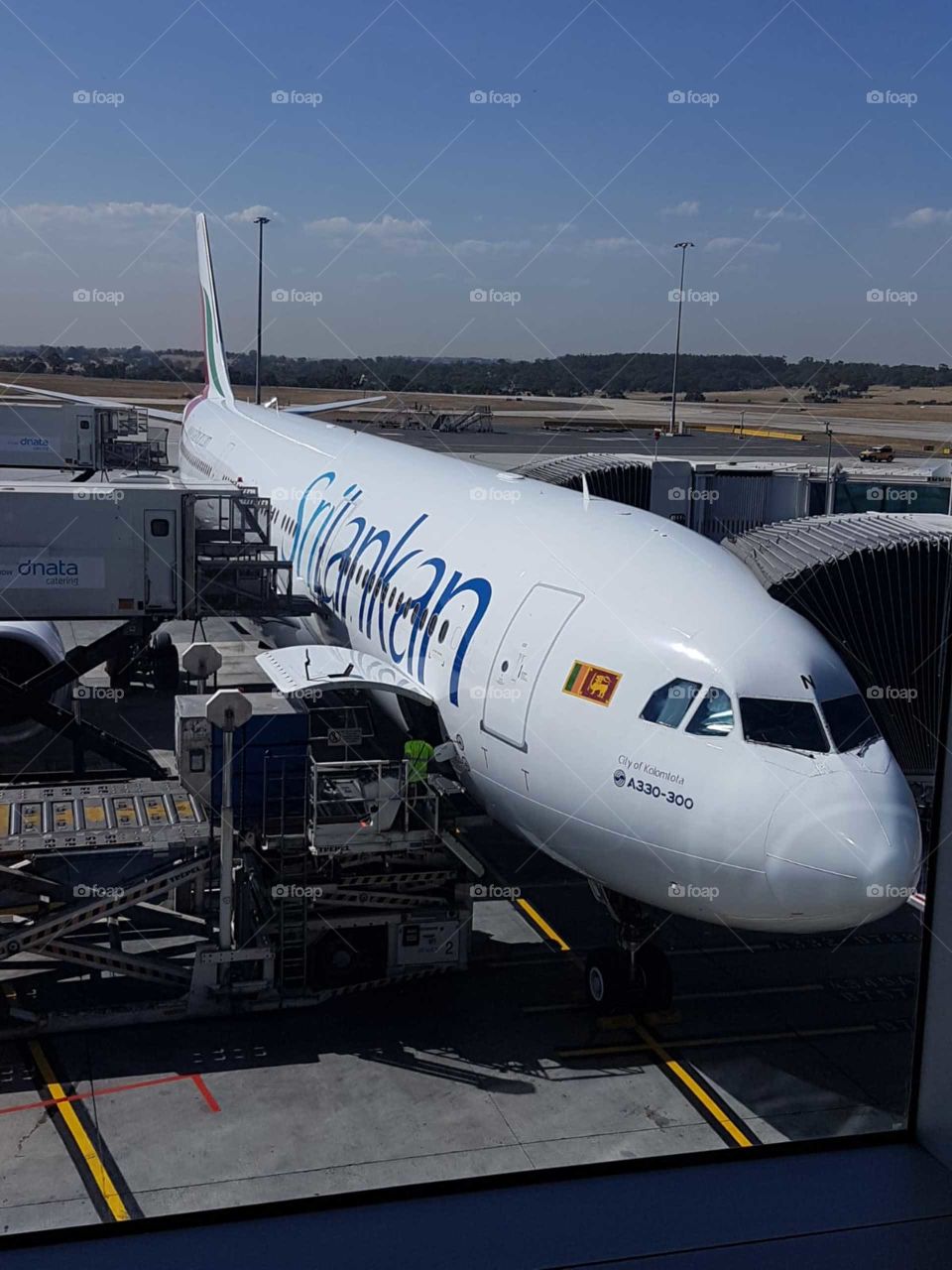 Sri lankan airlines (colombo to australia)