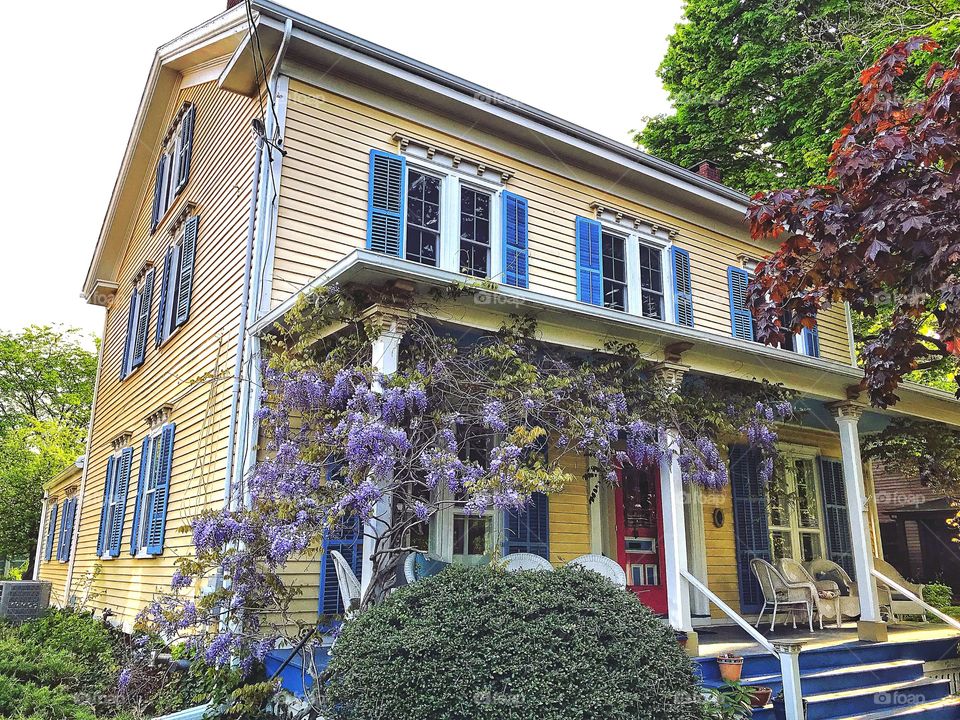 Beautiful victorian house and wisteria... 