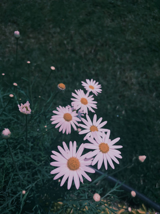 Natural.