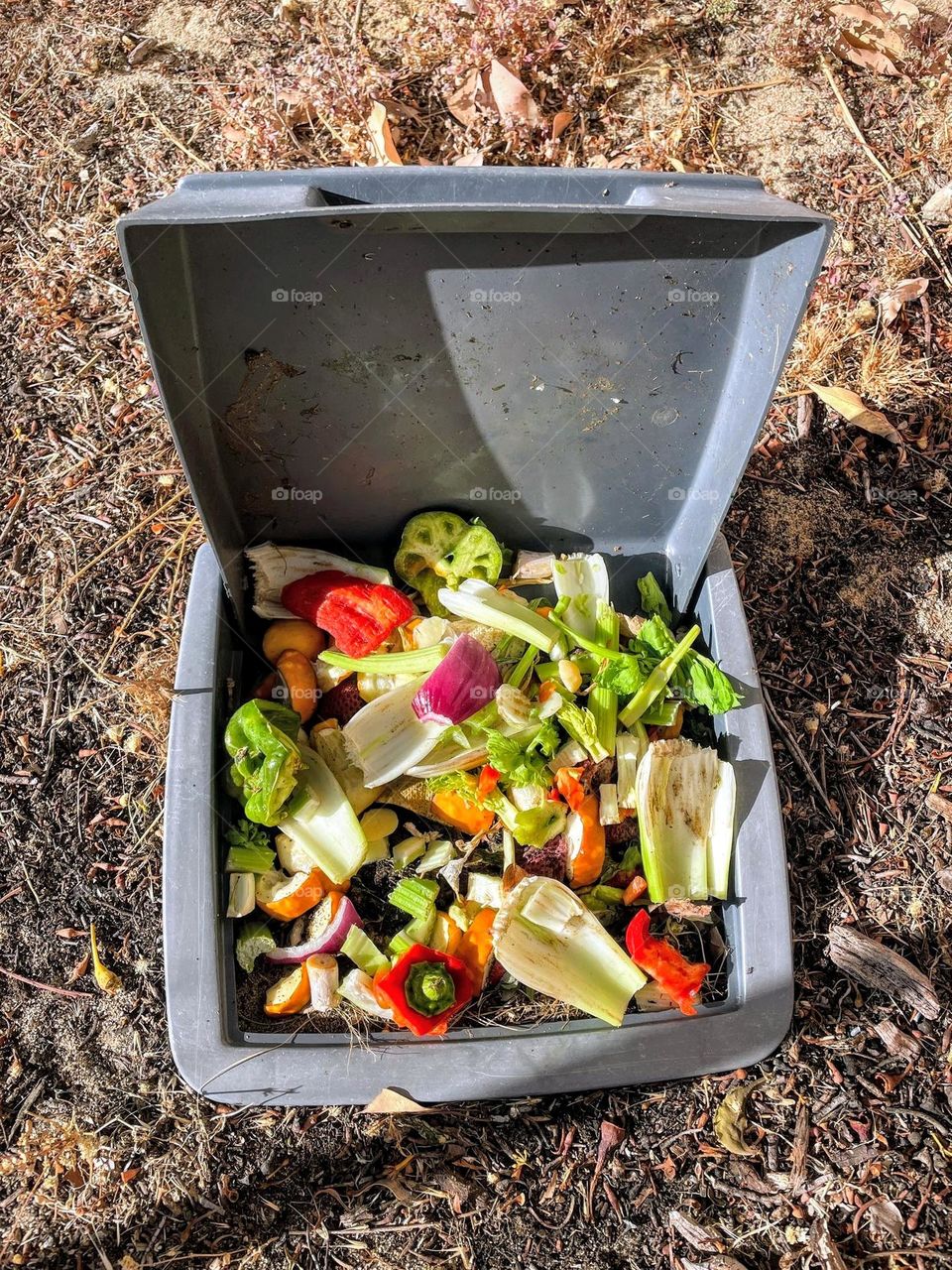 Compost your vegetable scraps directly into the garden to enrich the soil.