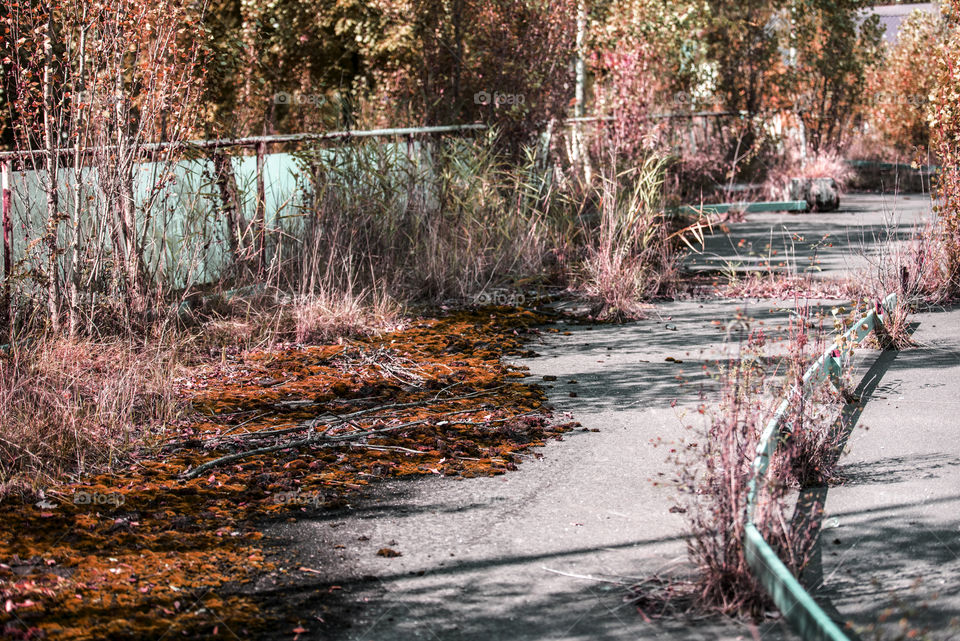 Kart race adbandoned autumn