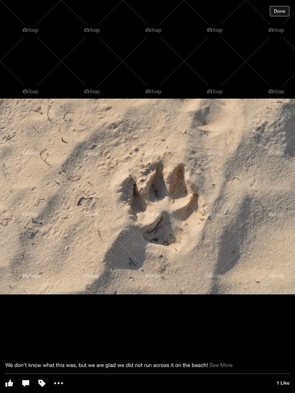 Foot print in the Sand