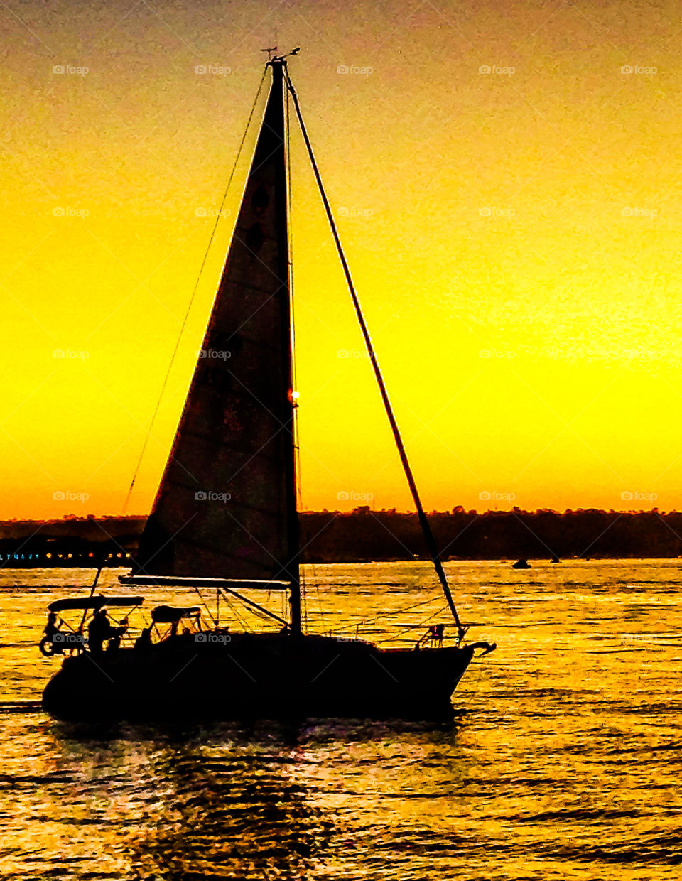 Yellow sunset cruise 