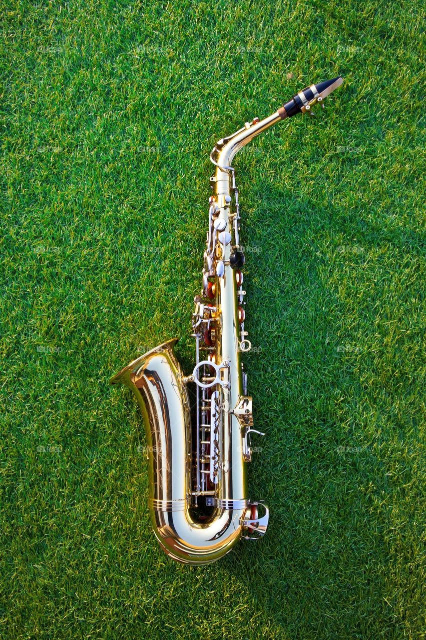 Saxophone on green grass