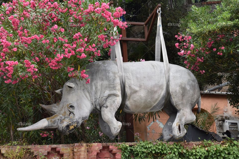 Hippopotamus sculpture 