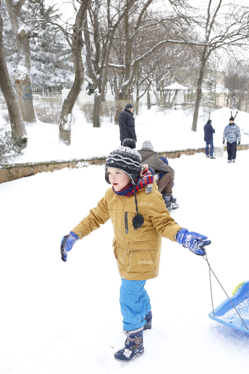 Winter, Snow, Child, Cold, Fun