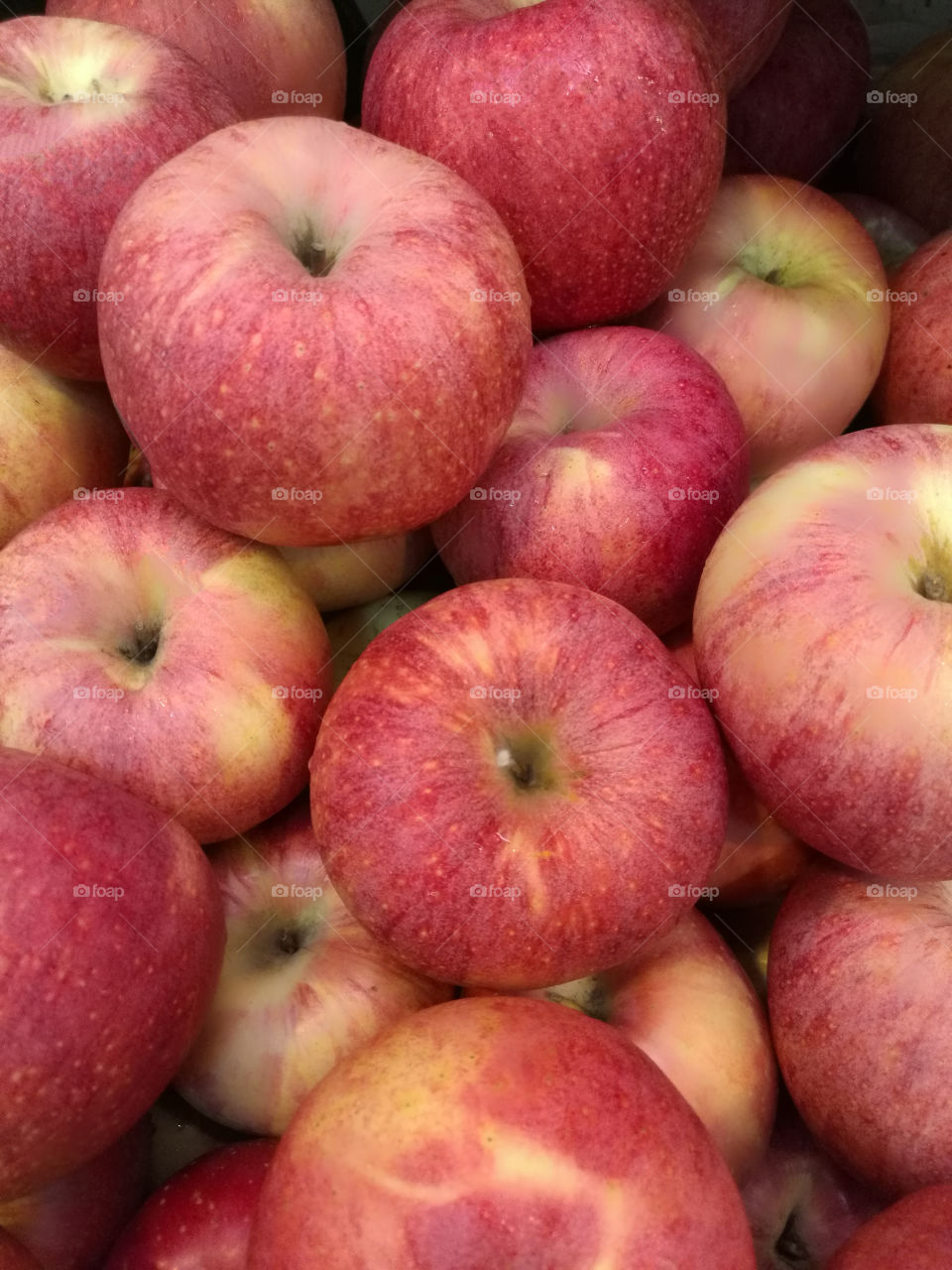 one apple a day keeps the doctor away