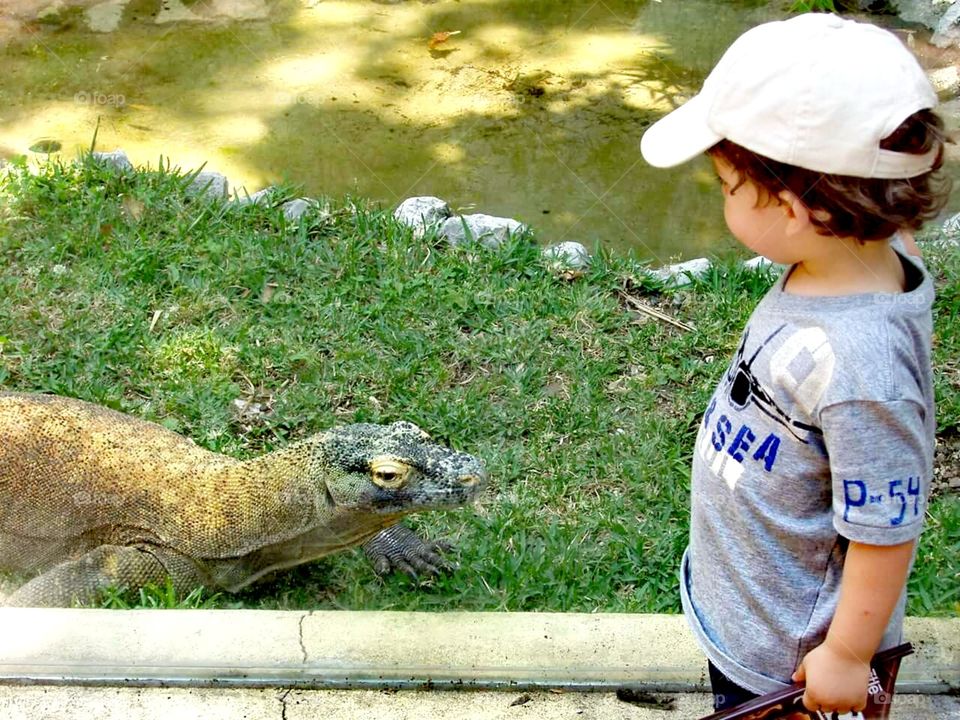 Child and a lizard