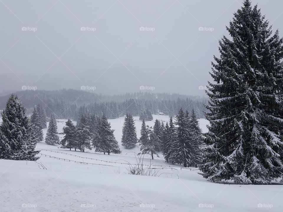 Winter in Romanian Mountains