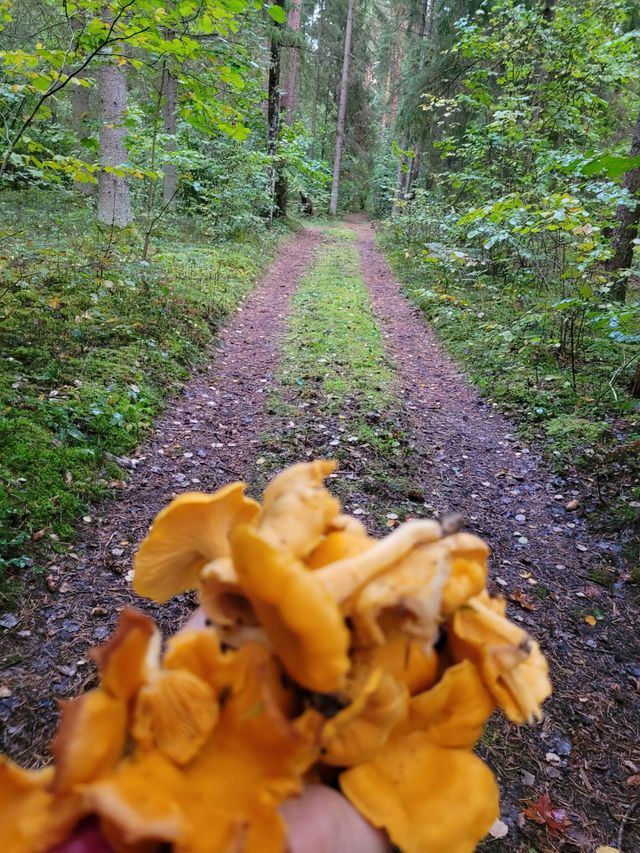 nature