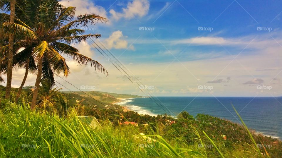 Scenic view of beach