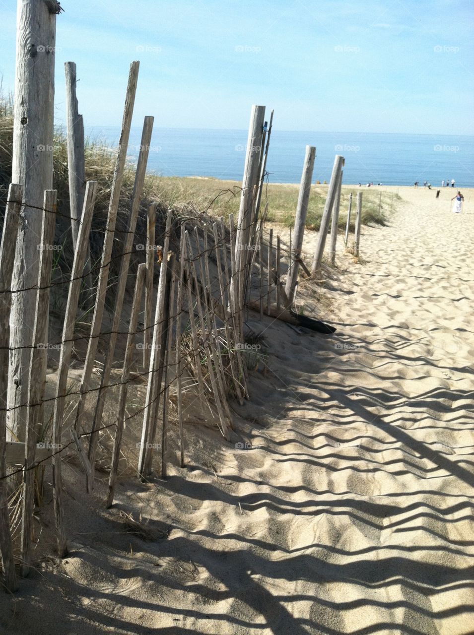 Sunlight on beach