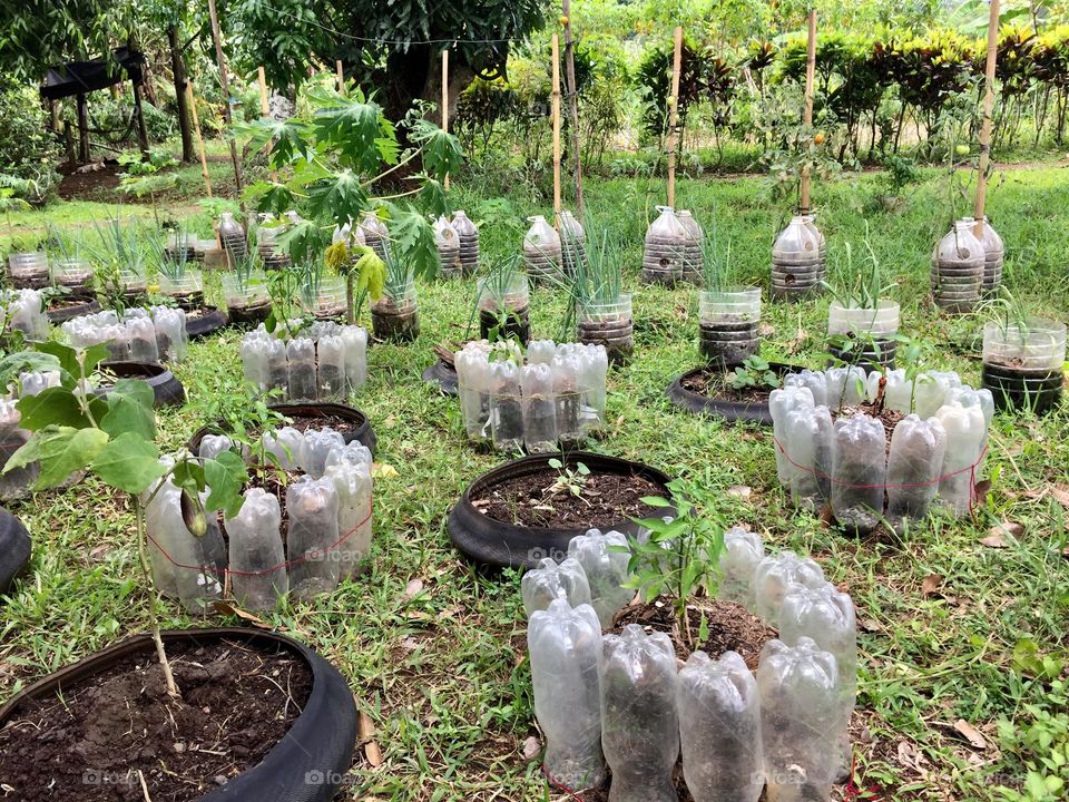 A family’s sustainability. It is used of old  motorcycle tires, soft drink bottles and a water bottles to lessen the solid waste at home. 