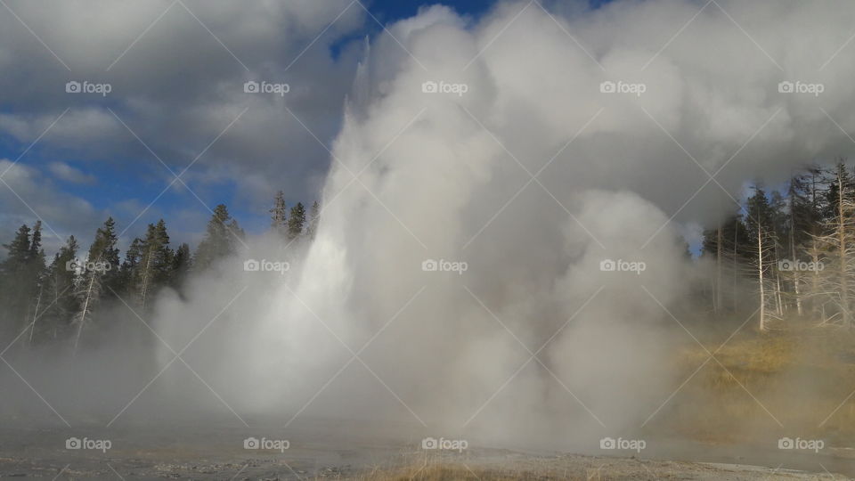 Geysir