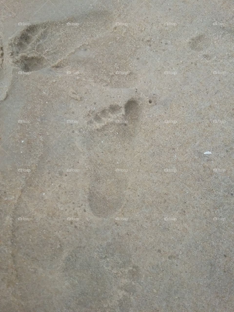 Chils Footprint in the Sand