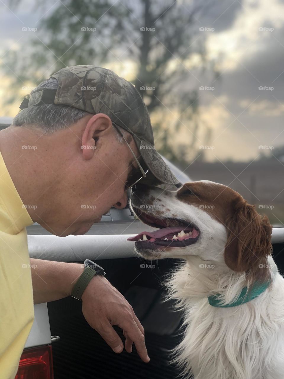 Compañero Fiel Mascotas Miradas Perro