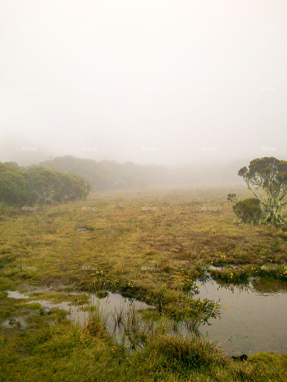 Trek Île de la Réunion