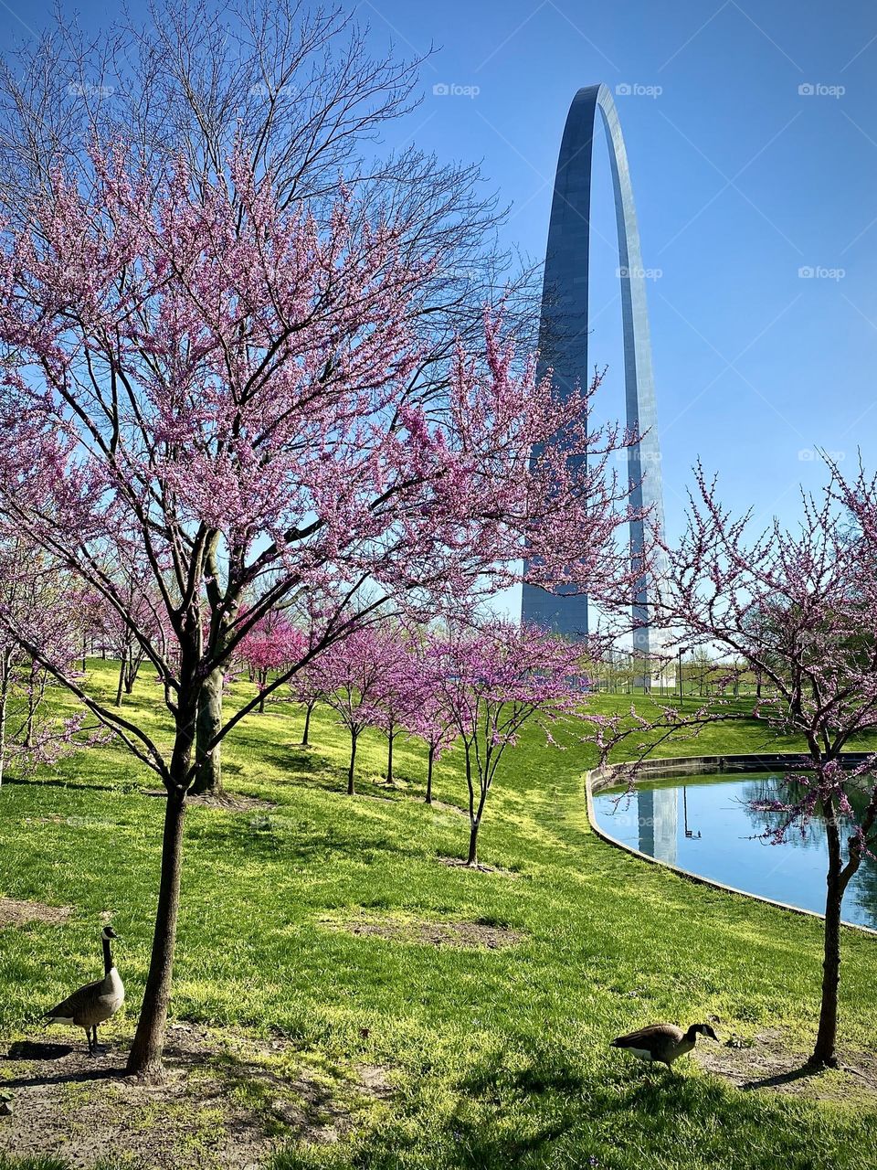 St. Louis Gateway Arch