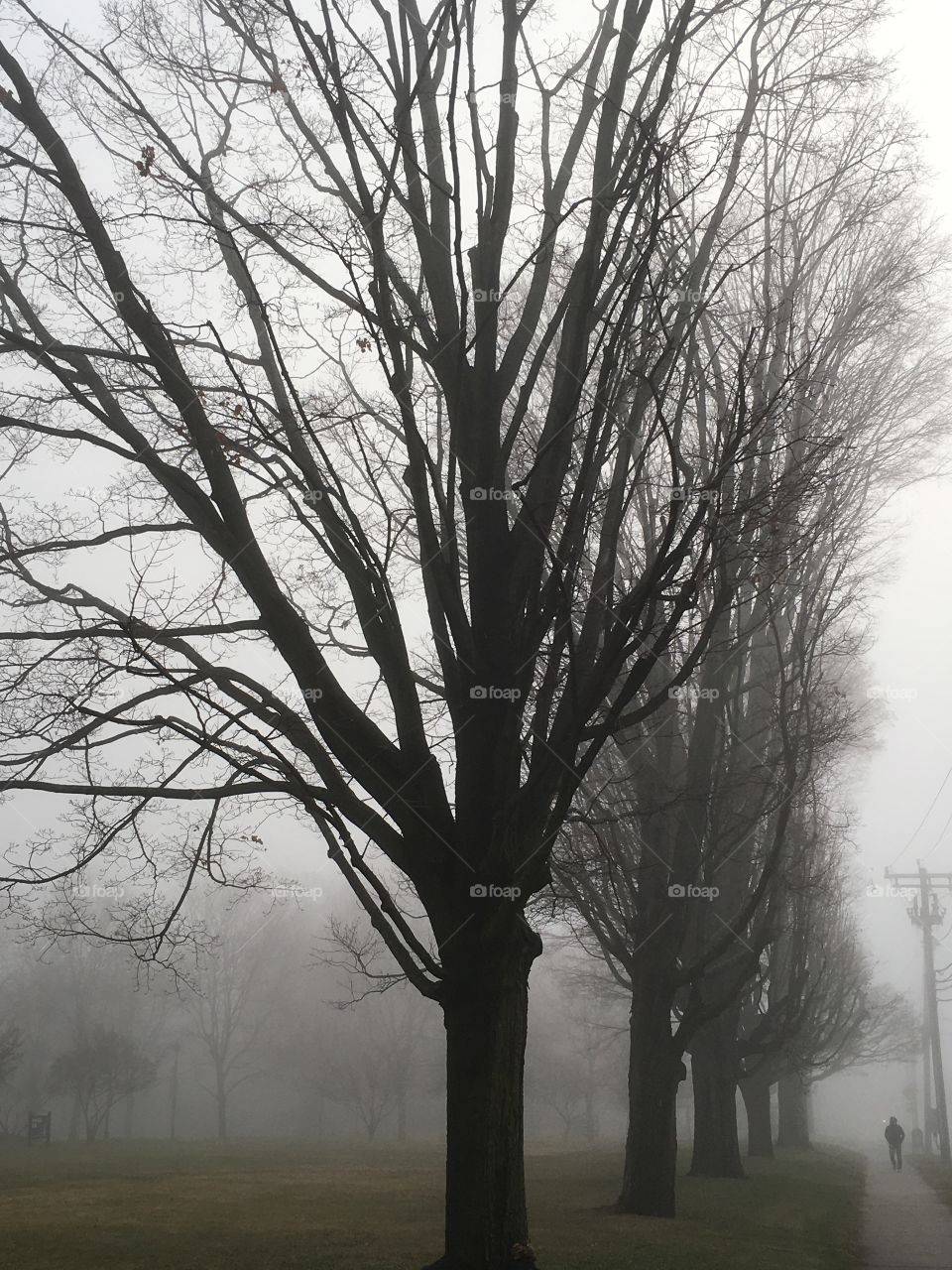 Lonely person on a misty morning 