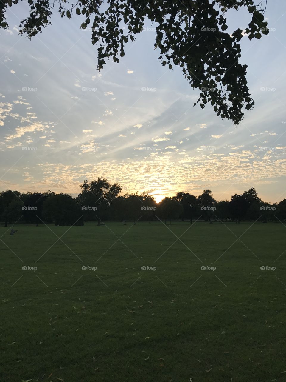 Sunset at the park