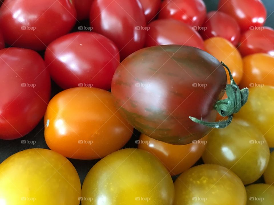 Colorful organic tomato background healthy lifestyle food photography with yellow tomato, orange,  purple and red conceptual background 
