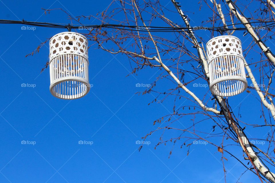 Two white decorative lamps are higher on the wire next to the birch.  Nice winter day, clear blue sky