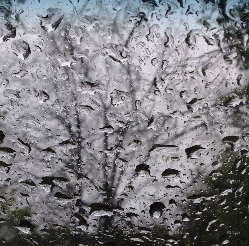 Raindrops Washout Tree