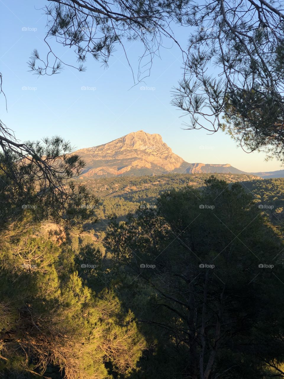 Mountain between trees
