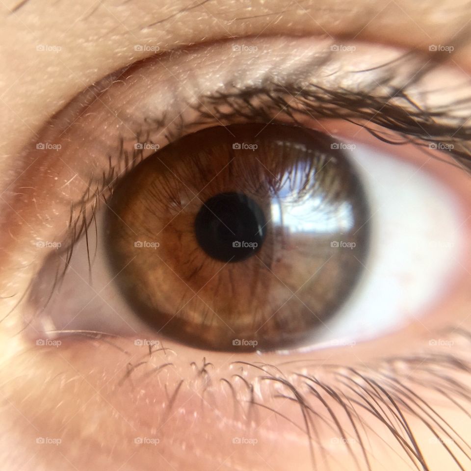 Macro of human eye