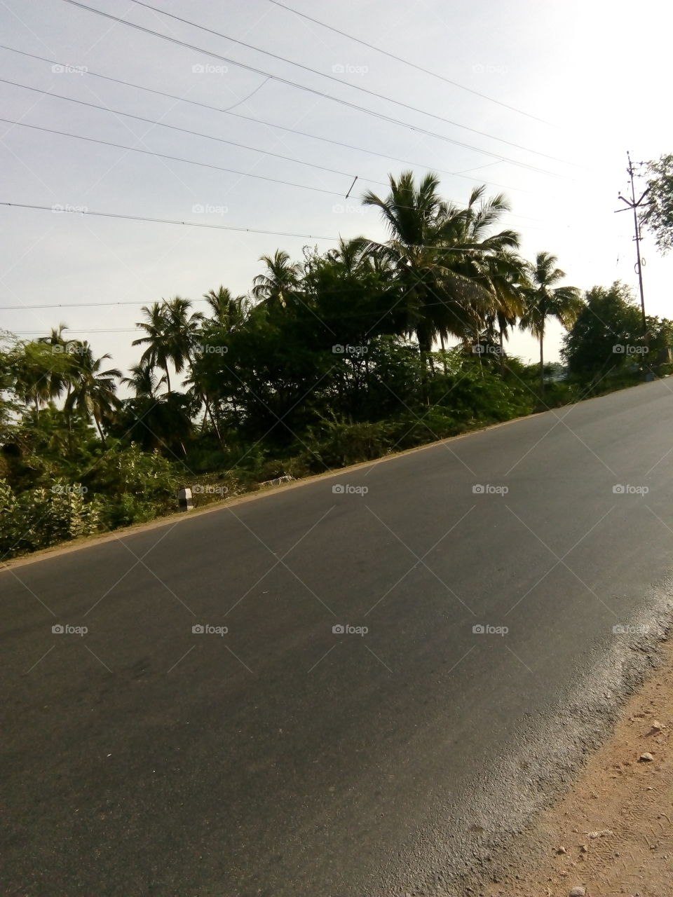 Tamil Nadu road