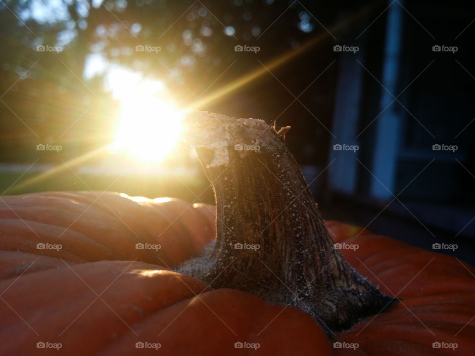 Sunrays on a Pumpkin