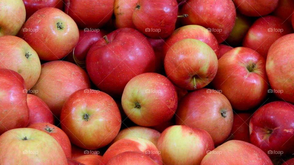 Apples