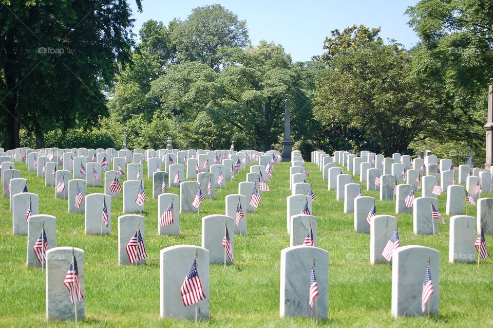 Graves With Flags