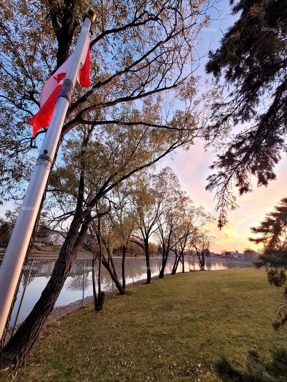 beautiful sunset during fall