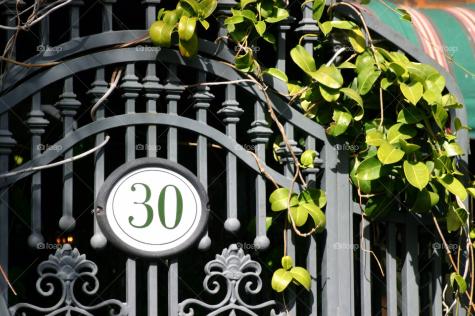 garden city yellow macro by hlehnerer