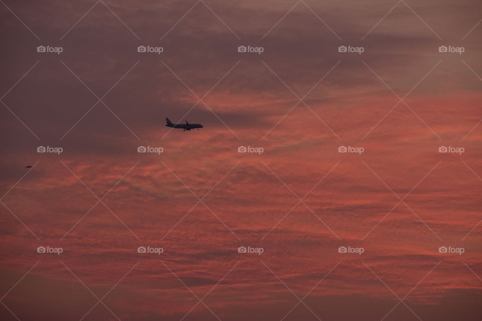 flight flying on red sky