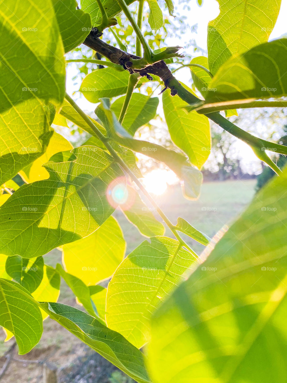 Morning light 📸✨☀️