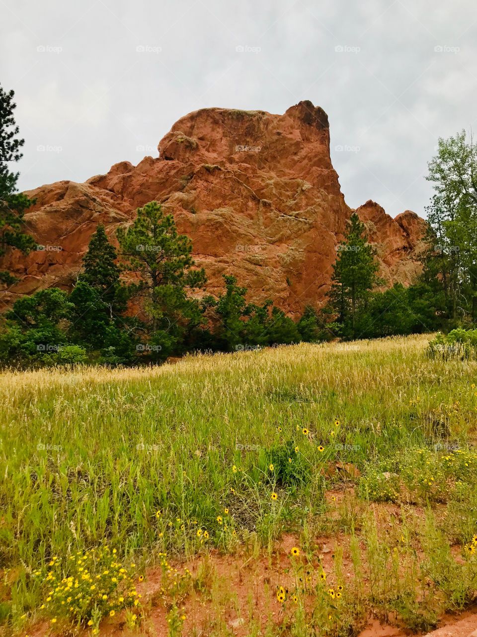 Rock formation at the Red Tock Canyon Trails in Colorado Springs on an overcast summer day.