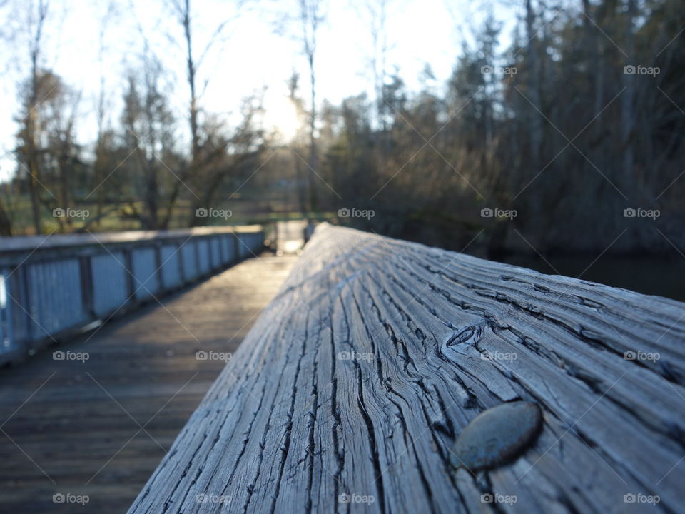 boardwalk at the lake