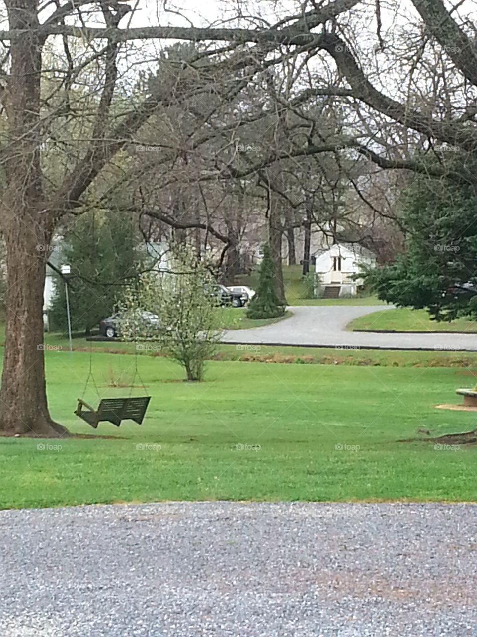 little white house, tree swing